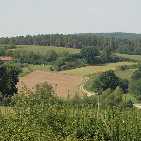 Ferienwohnung Passivhaus "Schoene Aussicht" Georgensgmund Exteriör bild