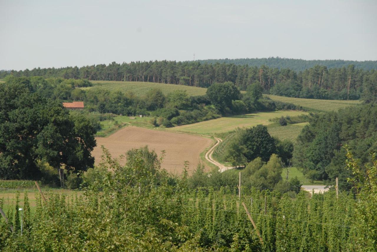 Ferienwohnung Passivhaus "Schoene Aussicht" Georgensgmund Exteriör bild